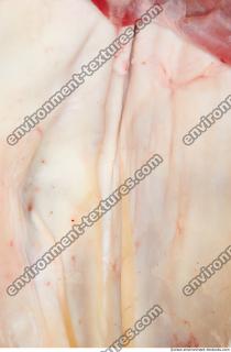 Photo Textures of RAW Beef Meat